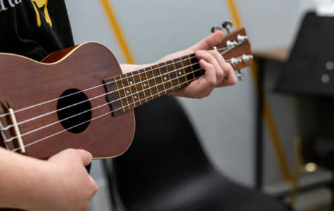 Playing Ukulele 3
